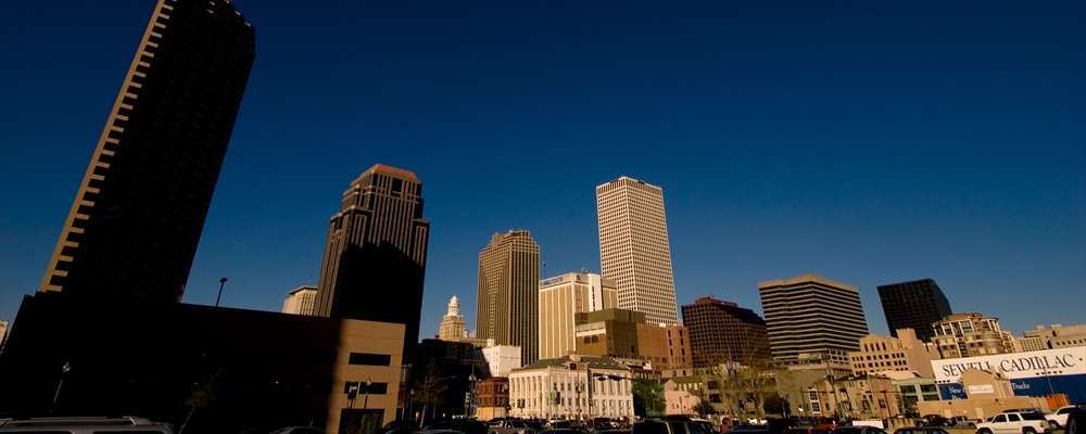 DSC_3534 - Downtown Skyline